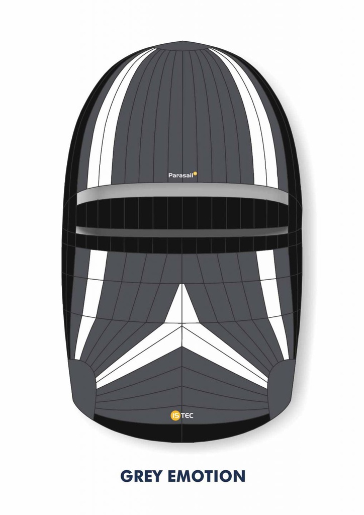 PR GREY EMOTION 283 (VERY GOOD)